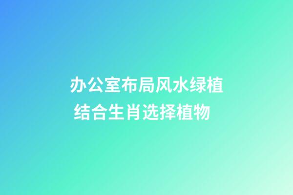 办公室布局风水绿植 结合生肖选择植物